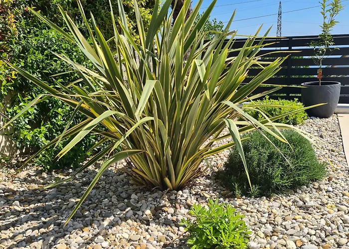 Adriatic, App Rebecca With Heated Swimming Pool, Sew View, Childrens Playground, Free Parking